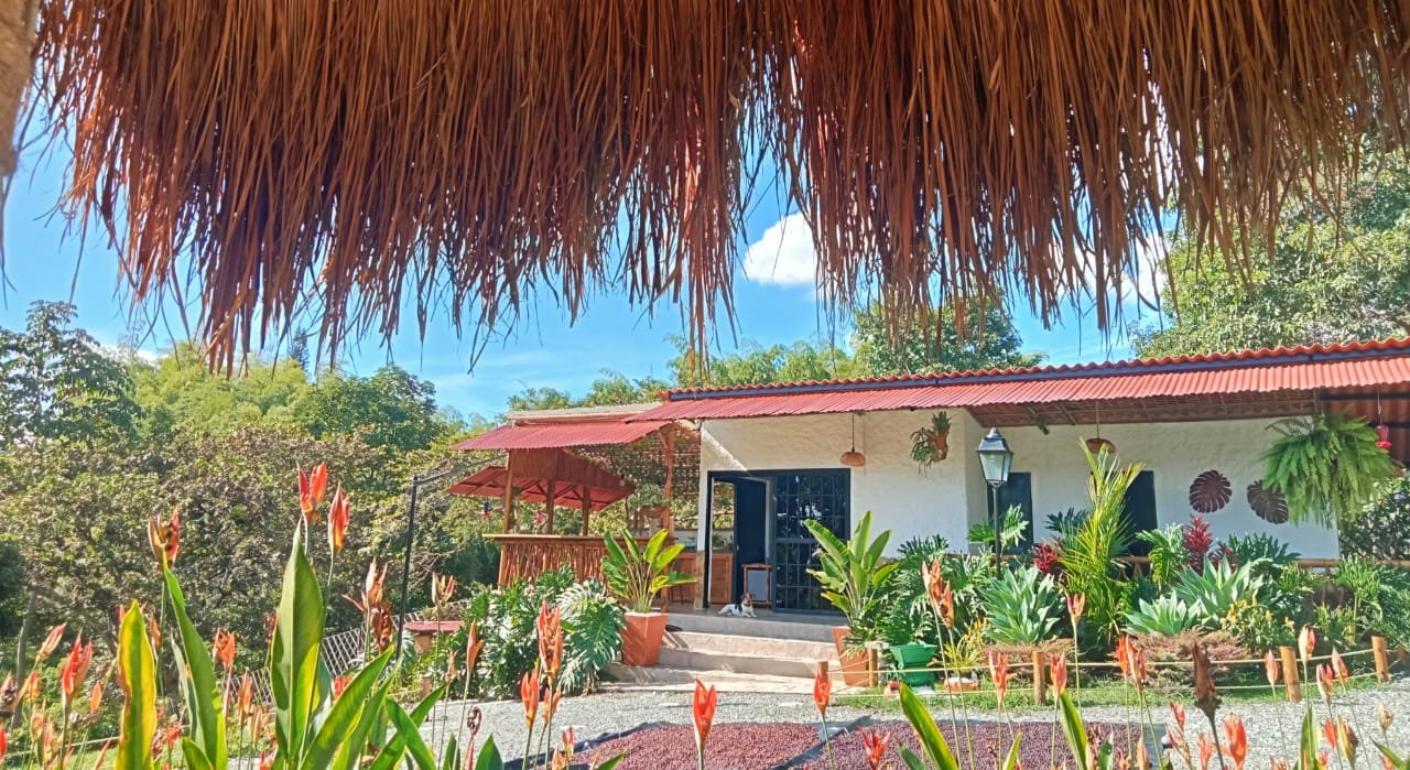 Vista Cabaña