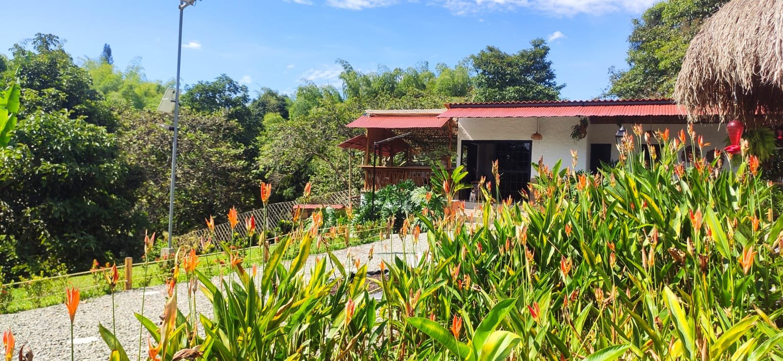 Vista Jardín