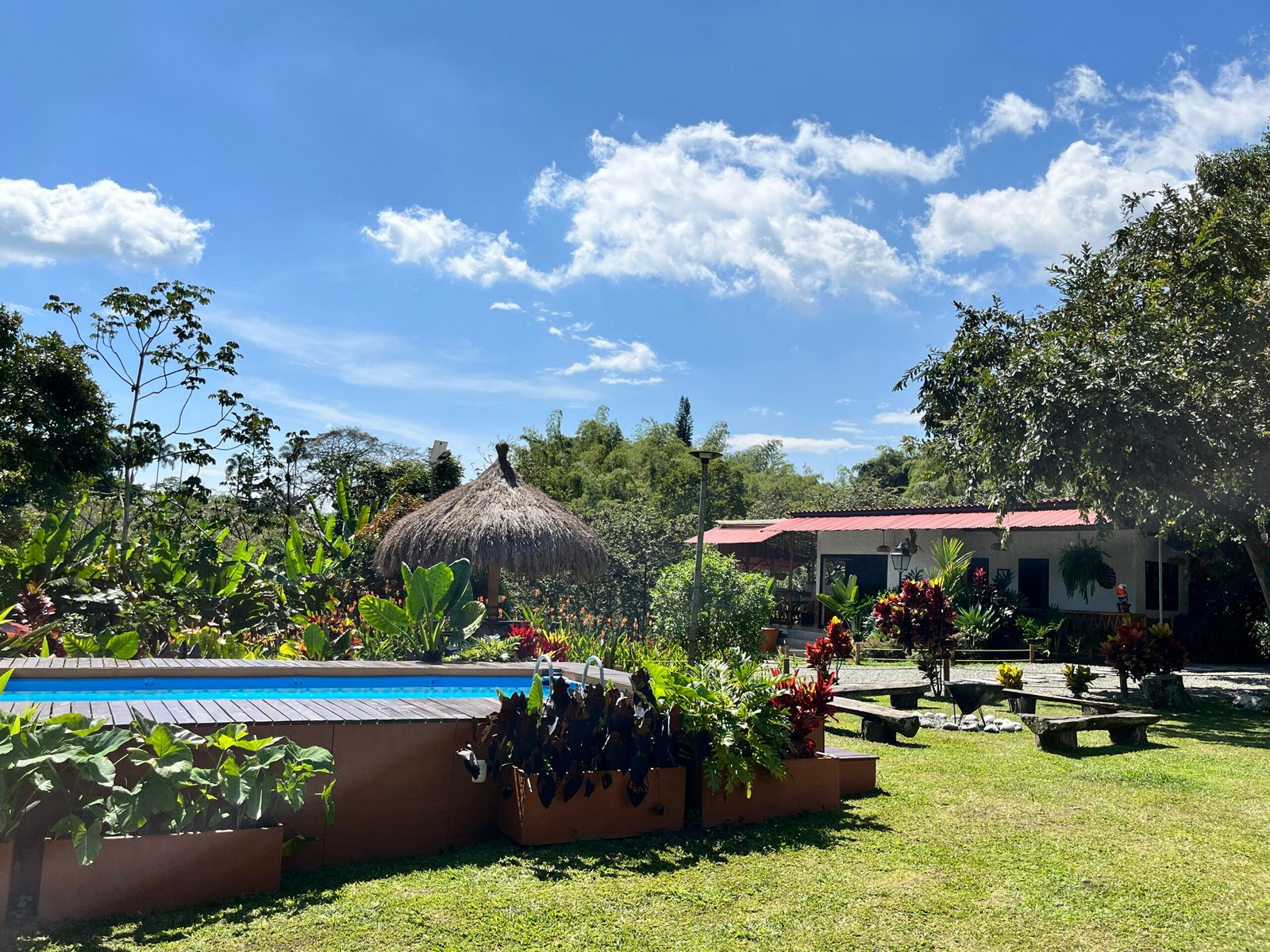 Vista Piscina