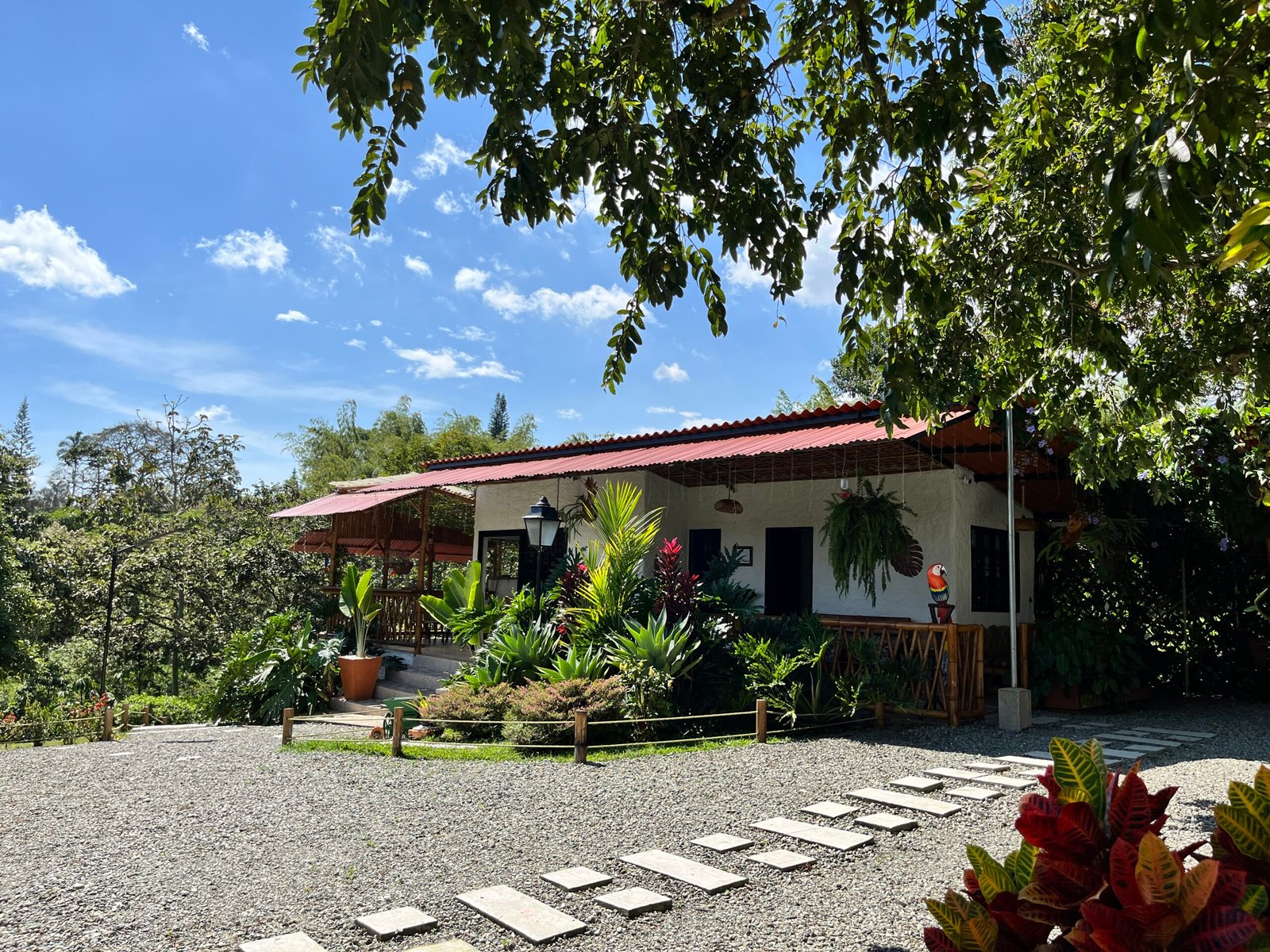 Cabaña