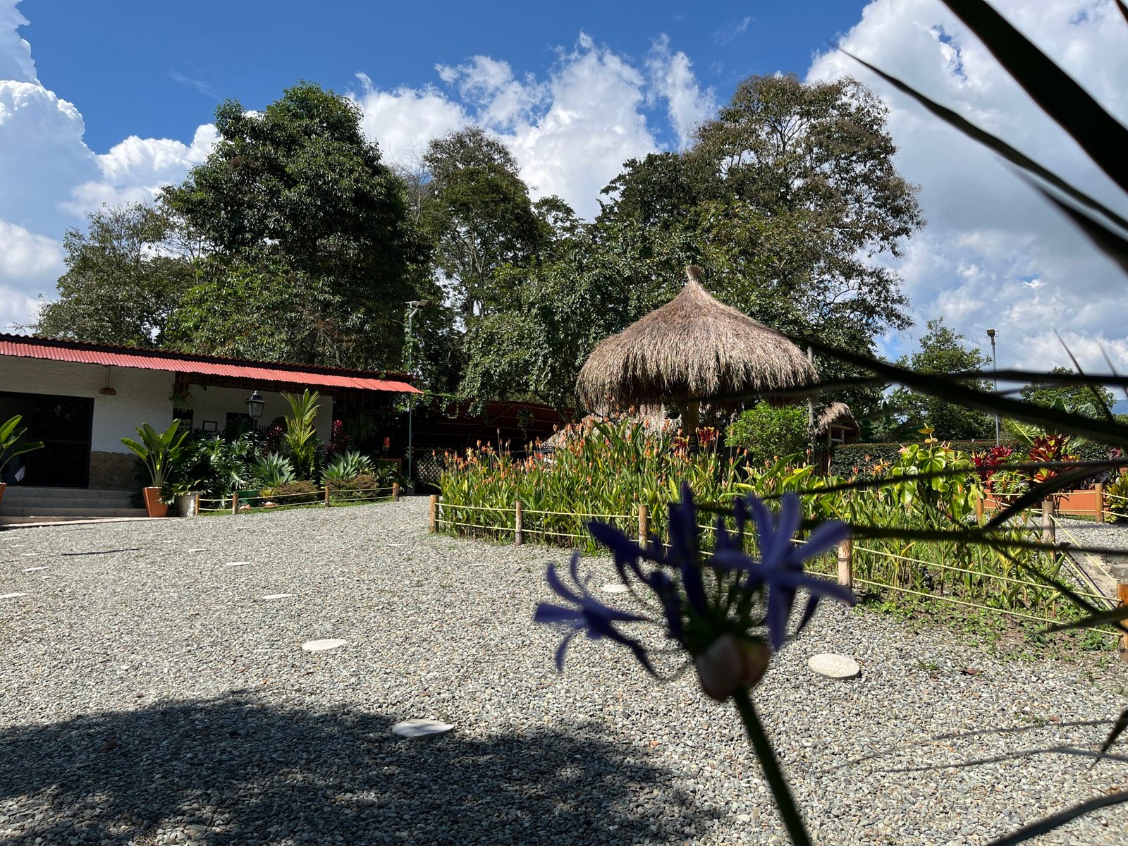 Vista General